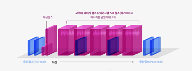 써마지 FLX 지속기간