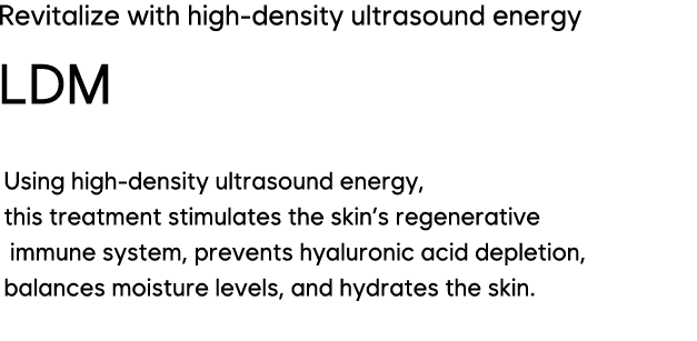 LDM
