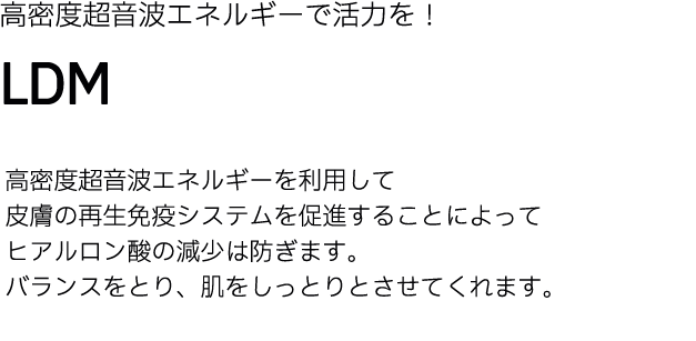 LDM